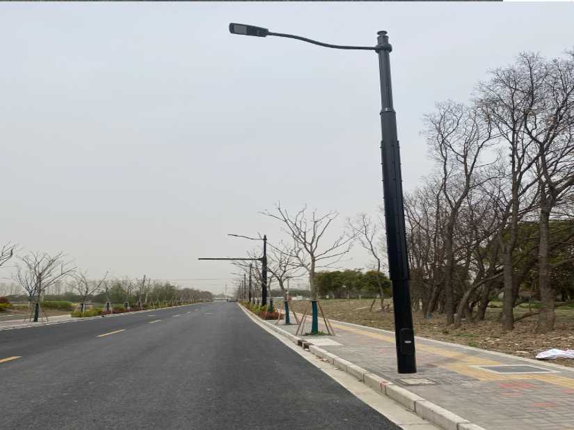 蓝田县上海综合杆 太阳能路灯工程